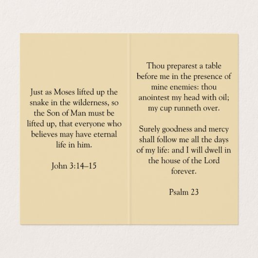 Snake on Cross Visitenkarten (Innenseite Aufgefaltet)