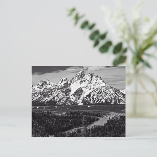 Snake River Curve - The Grand Tetons Postkarte (Stehend Vorderseite)