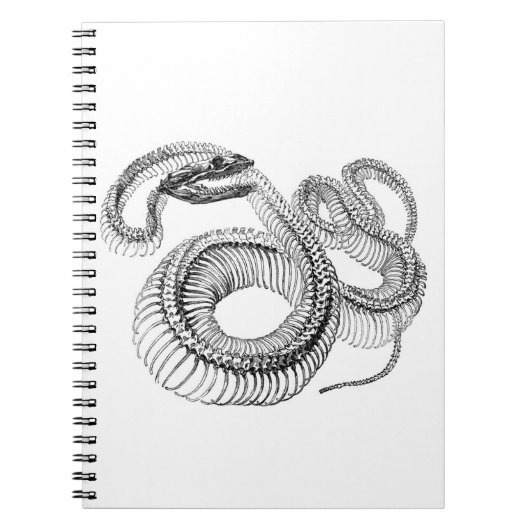 Snake Skeleton Notebook Notizblock (Vorderseite)