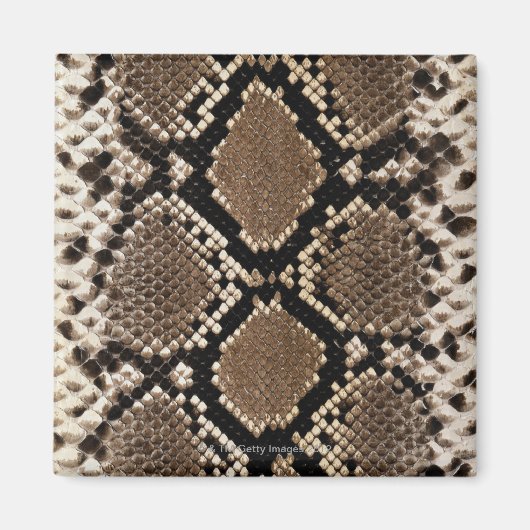 Snake Skin Magnet (Vorne)