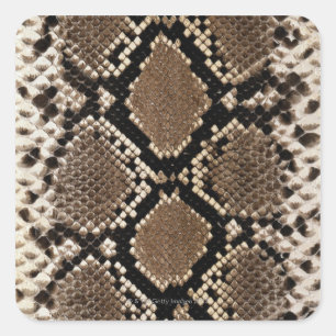 Snake Skin Quadratischer Aufkleber