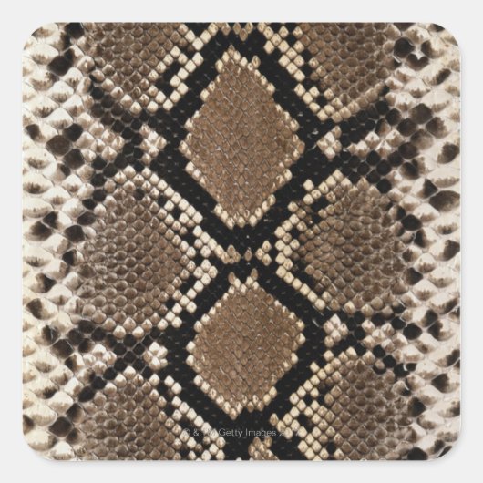 Snake Skin Quadratischer Aufkleber (Vorderseite)