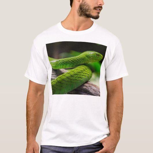 Snake… T-Shirt (Vorderseite)