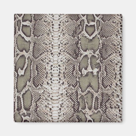 Snakeskin Animal Print Magnet (Vorne)