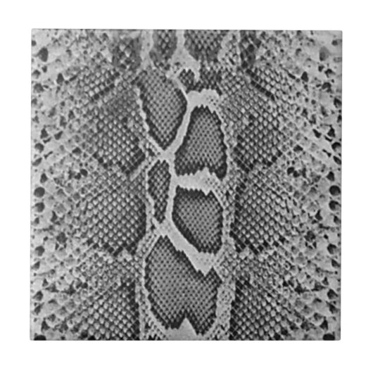 Snakeskin Entwurf, Schlangen-Haut-Druck-Muster Fliese (Vorderseite)