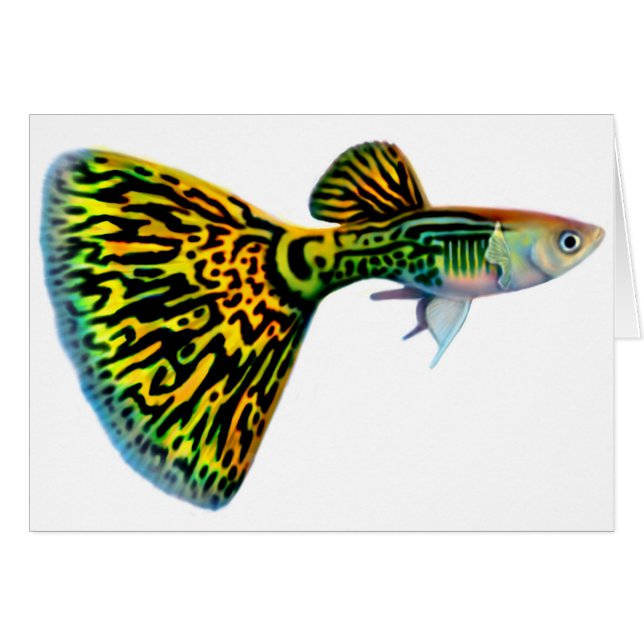 Snakeskin Kobraguppy-Karte (Vorderseite (Horizontal))