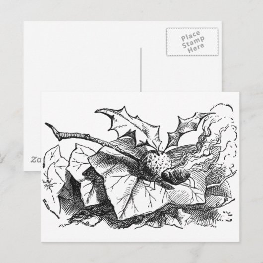 Snap-Drachenfliege Postkarte (Vorne/Hinten)