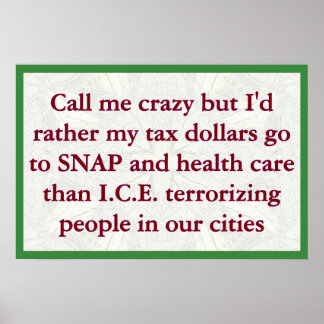 SNAP not ICE Poster