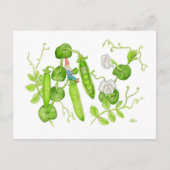 Snap Pea Gnome Postkarte (Vorderseite)