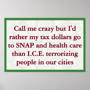 SNAP statt ICE Poster