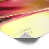 Snapdragon Blossom CloseUp FotoPoster von gretchen Poster (Ecke)