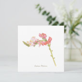 Snapdragon flache Karte (Stehend Vorderseite)