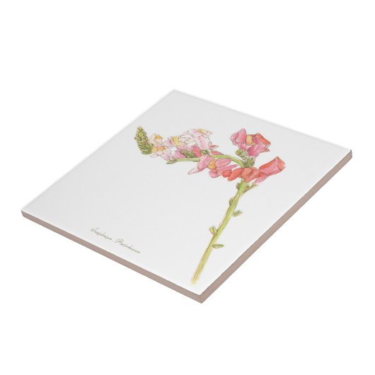 Snapdragon  fliese (Seite)