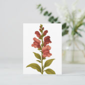 Snapdragon — Grazie, Täuschung Postkarte (Stehend Vorderseite)