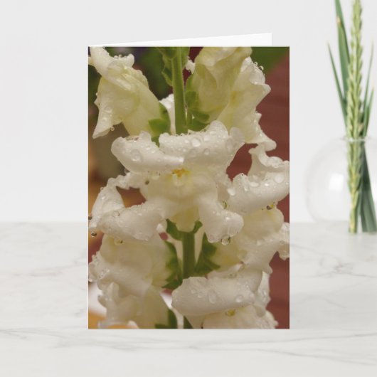 Snapdragon im Regennotecard Karte (Vorderseite)
