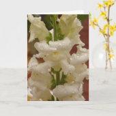 Snapdragon im Regennotecard Karte (Gelbe Blume)