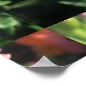 Snapdragon Pink-Blume Poster (Ecke)