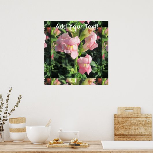 Snapdragon Pink-Blume Poster (Küche)