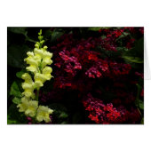 Snapdragon und Pagoda-Blume - farbenfrohe Blüte (Vorderseite (Horizontal))