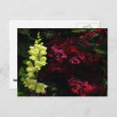 Snapdragon und Pagoda-Blume - farbenfrohe Blüte Postkarte (Vorne/Hinten)