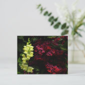 Snapdragon und Pagoda-Blume - farbenfrohe Blüte Postkarte (Stehend Vorderseite)