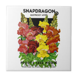 Snapdragon Vintages Samen-Paket Fliese