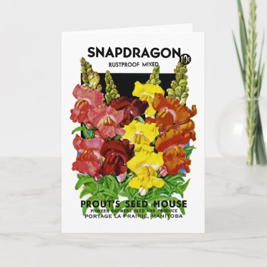 Snapdragon Vintages Samen-Paket Karte (Vorderseite)