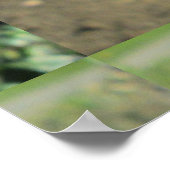 Snapdragon Yellow Blume Poster (Ecke)