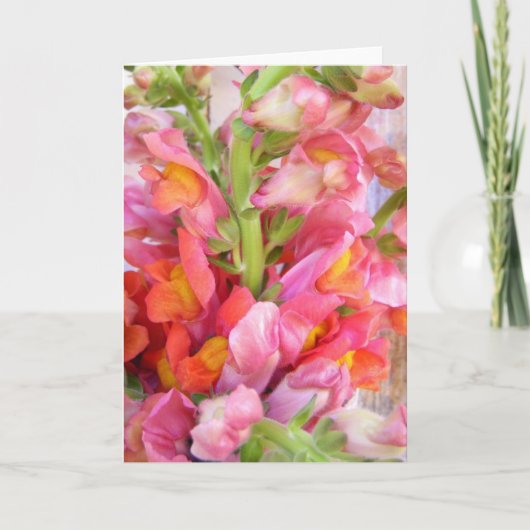 Snapdragons Blumenstrauß Dankeskarte (Vorderseite)