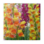 Snapdragons farbenfrohe Blüte Fliese (Vorderseite)