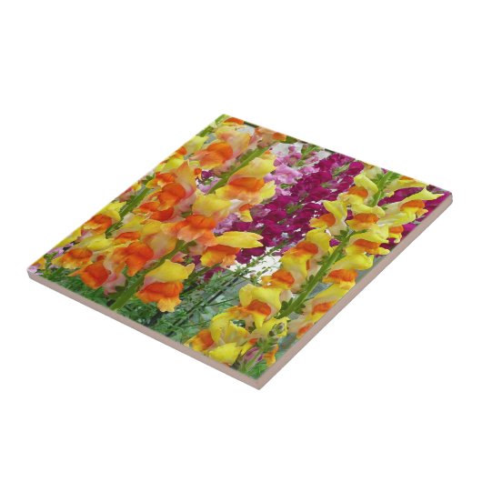 Snapdragons farbenfrohe Blüte Fliese (Seite)