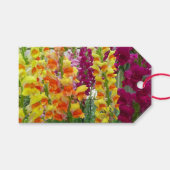 Snapdragons farbenfrohe Blüte Geschenkanhänger (Vorderseite (Horizontal))