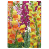 Snapdragons farbenfrohe Blüte Klemmbrett (Rückseite)