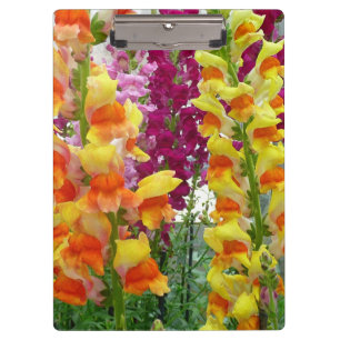 Snapdragons farbenfrohe Blüte Klemmbrett