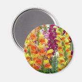Snapdragons farbenfrohe Blüte Magnet (Vorderseite/Rückseite)