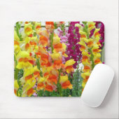 Snapdragons farbenfrohe Blüte Mousepad (Mit Mouse)