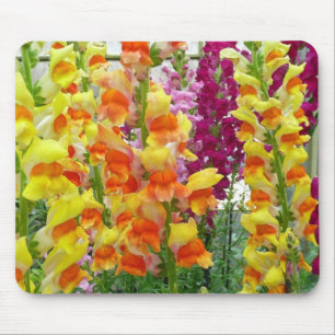Snapdragons farbenfrohe Blüte Mousepad