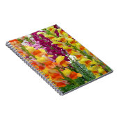Snapdragons farbenfrohe Blüte Notizblock (Rechte Seite)