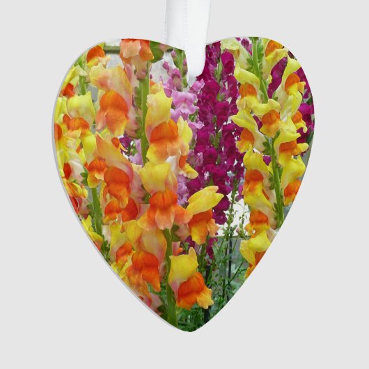 Snapdragons farbenfrohe Blüte Ornament (Vorderseite)