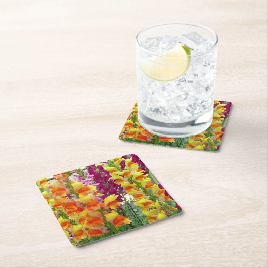 Snapdragons farbenfrohe Blüte Rechteckiger Pappuntersetzer (Vor Ort)