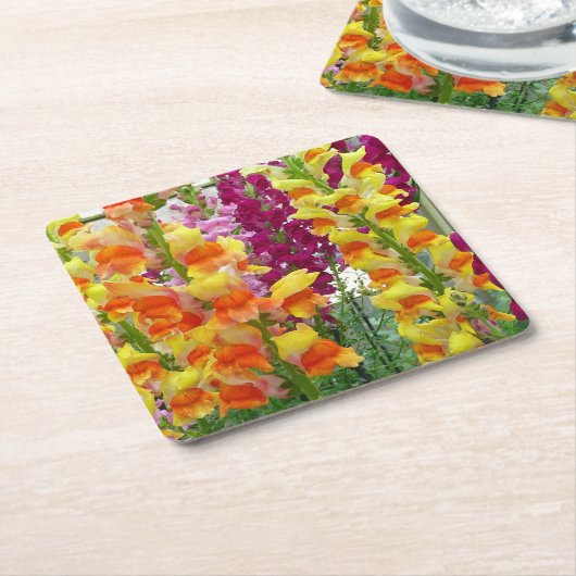 Snapdragons farbenfrohe Blüte Rechteckiger Pappuntersetzer (angewinkelt)