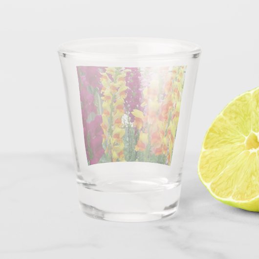 Snapdragons farbenfrohe Blüte Schnapsglas (Rückseite)