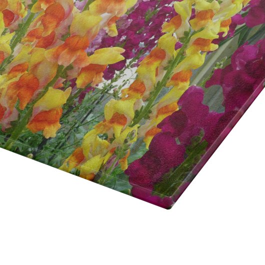Snapdragons farbenfrohe Blüte Schneidebrett (Ecke)