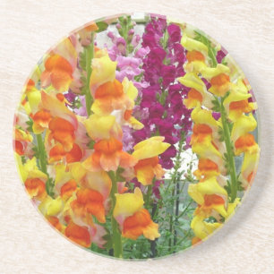 Snapdragons farbenfrohe Blüte Untersetzer