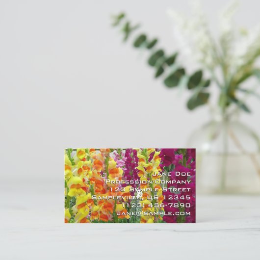 Snapdragons farbenfrohe Blüte Visitenkarte (Stehend Vorderseite)