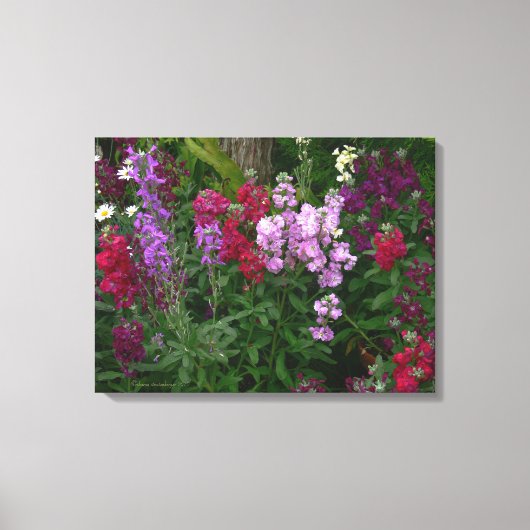"SNAPDRAGONS"/FOTOG/3 PANELS LEINWAND GLOSS (Vorderseite)