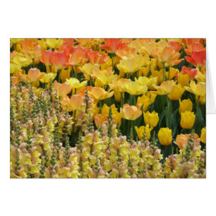 Snapdragons Karte