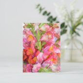 Snapdragons Postkarte (Stehend Vorderseite)