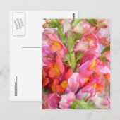 Snapdragons Postkarte (Vorne/Hinten)