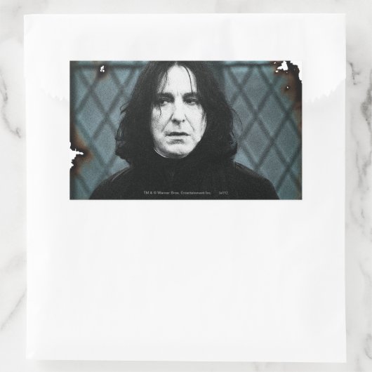 Snape 1 rechteckiger aufkleber (Tasche)